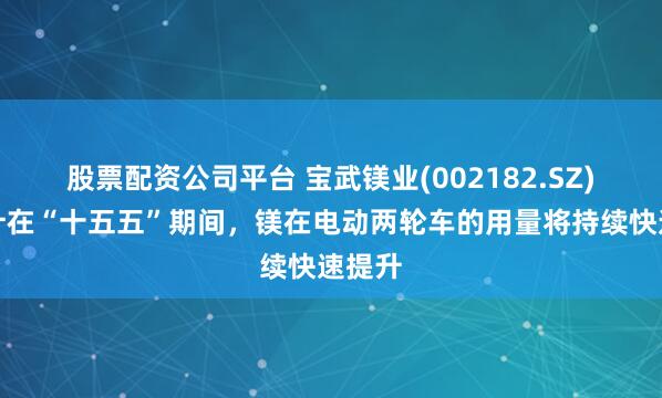 股票配资公司平台 宝武镁业(002182.SZ)：预计在“十五五”期间，镁在电动两轮车的用量将持续快速提升