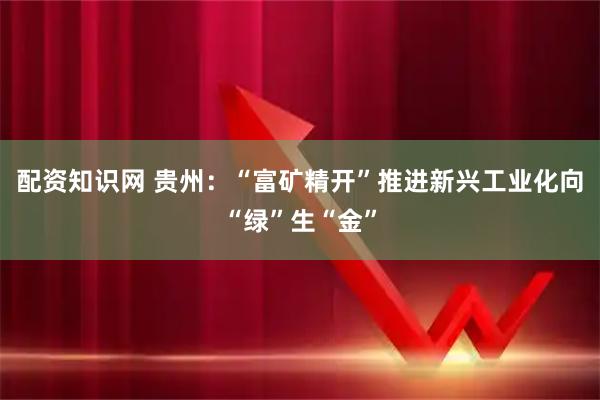 配资知识网 贵州：“富矿精开”推进新兴工业化向“绿”生“金”